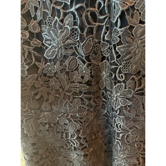 Black Lace Sleeveless A-Line Dress With Floral Overlay - Picture 7 of 9